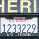 Image for article titled Los Angeles Cops Argue All Cars in L.A. Are Under Investigation